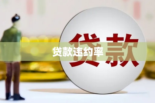 源城贷款违约率