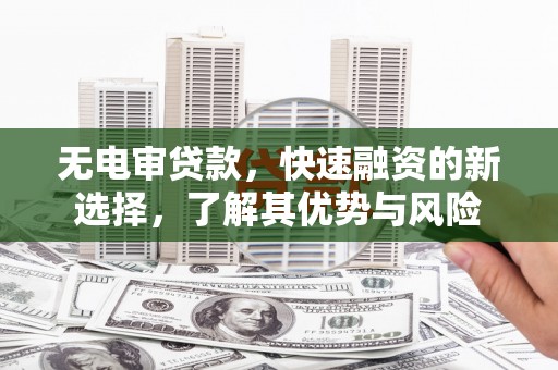 源城无电审贷款，快速融资的新选择，了解其优势与风险