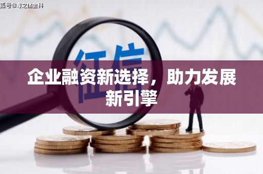 源城企业融资新选择，助力发展新引擎