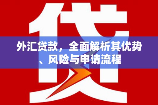 源城外汇贷款，全面解析其优势、风险与申请流程
