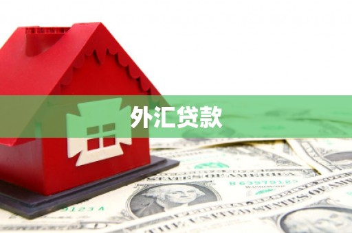 源城外汇贷款
