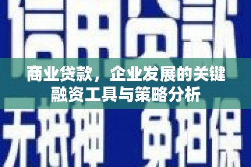 源城商业贷款，企业发展的关键融资工具与策略分析