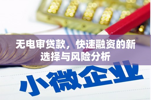 源城无电审贷款，快速融资的新选择与风险分析