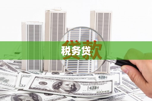 源城税务贷