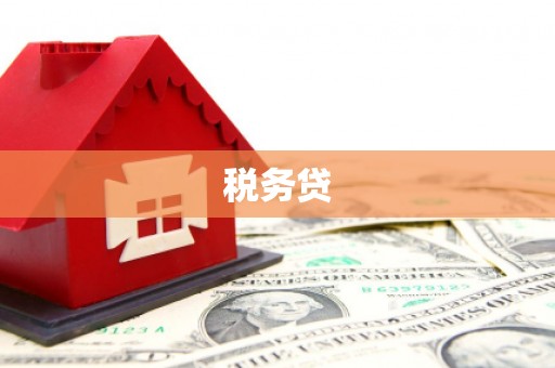 源城税务贷