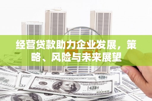 源城经营贷款助力企业发展，策略、风险与未来展望