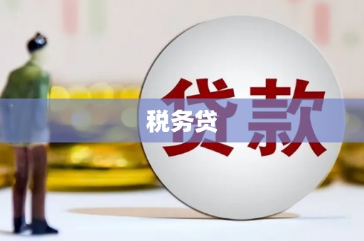 源城税务贷