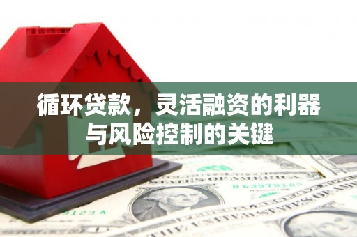 源城循环贷款，灵活融资的利器与风险控制的关键