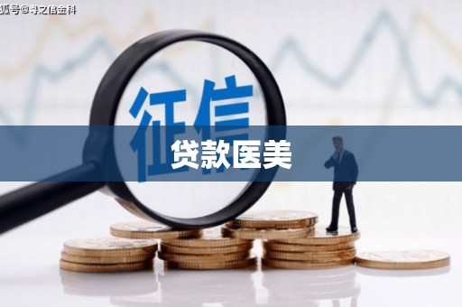源城贷款医美