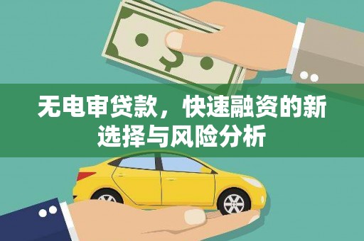 源城无电审贷款，快速融资的新选择与风险分析