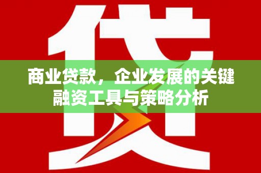 源城商业贷款，企业发展的关键融资工具与策略分析