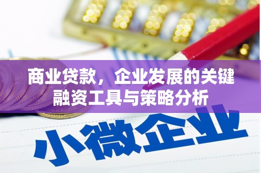 源城商业贷款，企业发展的关键融资工具与策略分析