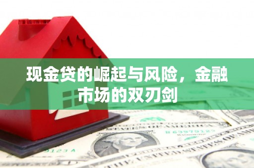 源城现金贷的崛起与风险，金融市场的双刃剑