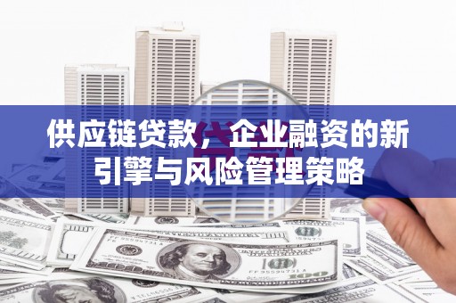 源城供应链贷款，企业融资的新引擎与风险管理策略