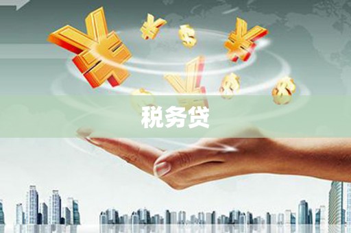 源城税务贷
