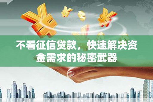源城不看征信贷款，快速解决资金需求的秘密武器
