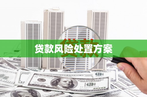 源城贷款风险处置方案