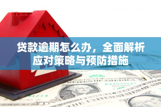 源城贷款逾期怎么办，全面解析应对策略与预防措施