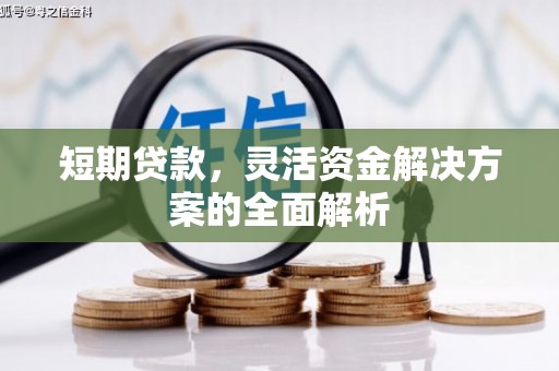 源城短期贷款，灵活资金解决方案的全面解析