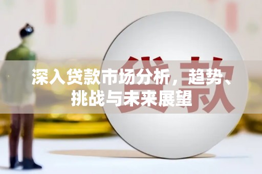 源城深入贷款市场分析，趋势、挑战与未来展望