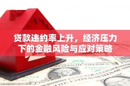 源城贷款违约率上升，经济压力下的金融风险与应对策略