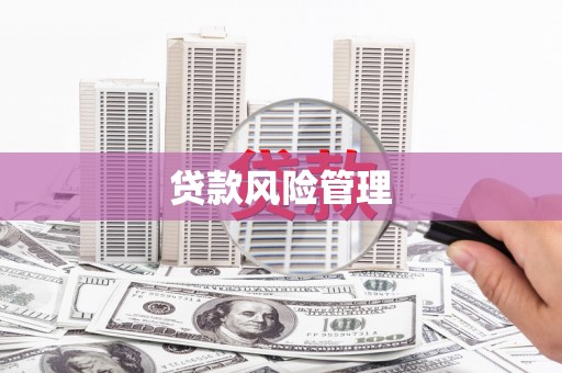 源城贷款风险管理
