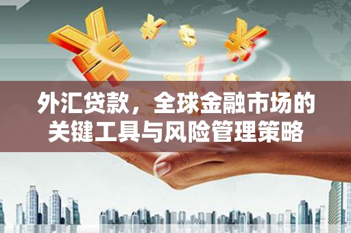 源城外汇贷款，全球金融市场的关键工具与风险管理策略