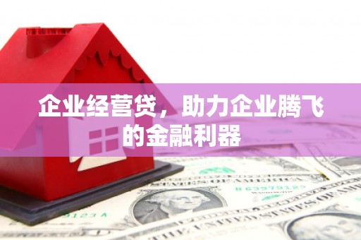 源城企业经营贷，助力企业腾飞的金融利器