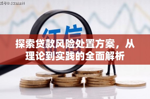 源城探索贷款风险处置方案，从理论到实践的全面解析