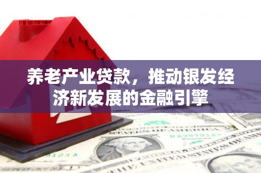 源城养老产业贷款，推动银发经济新发展的金融引擎