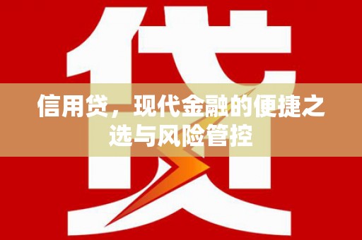 源城信用贷，现代金融的便捷之选与风险管控