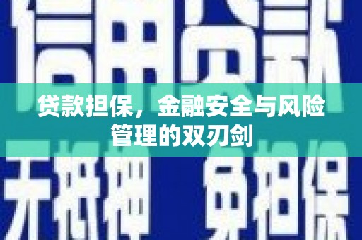 源城贷款担保，金融安全与风险管理的双刃剑