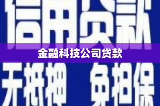 源城金融科技公司贷款