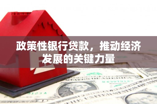 源城政策性银行贷款，推动经济发展的关键力量