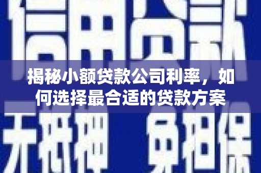 源城揭秘小额贷款公司利率，如何选择最合适的贷款方案