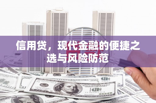 源城信用贷，现代金融的便捷之选与风险防范