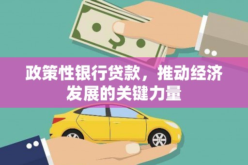 源城政策性银行贷款，推动经济发展的关键力量