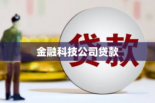源城金融科技公司贷款