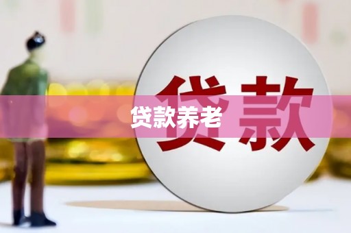 源城贷款养老