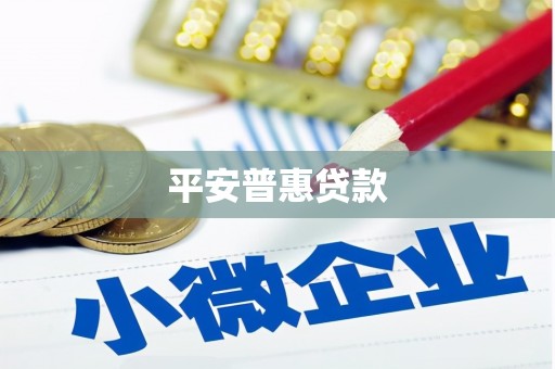 源城平安普惠贷款