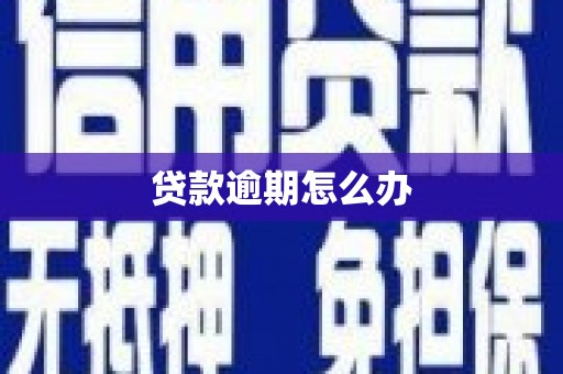 源城贷款逾期怎么办