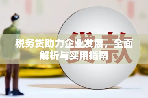 源城税务贷助力企业发展，全面解析与实用指南