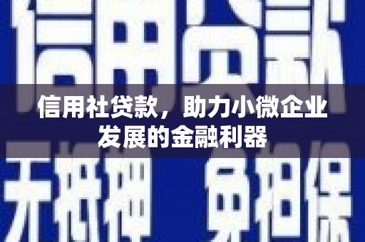源城信用社贷款，助力小微企业发展的金融利器