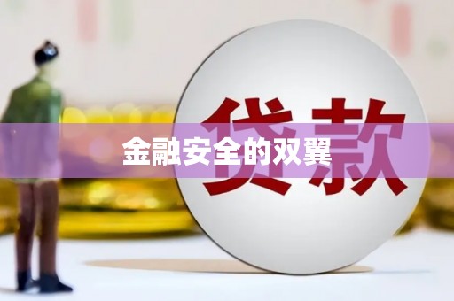 源城金融安全的双翼