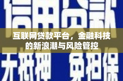 源城互联网贷款平台，金融科技的新浪潮与风险管控