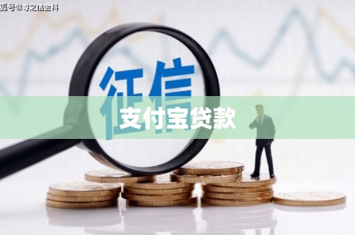 源城支付宝贷款