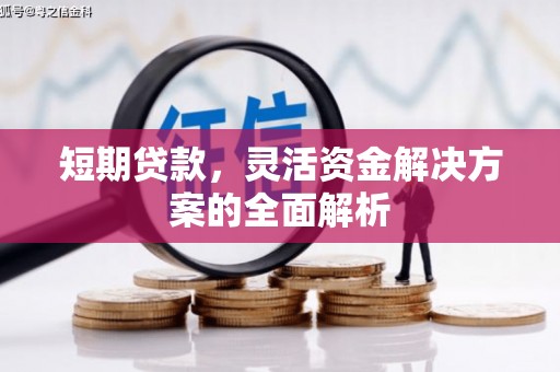 源城短期贷款，灵活资金解决方案的全面解析