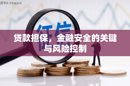源城贷款担保，金融安全的关键与风险控制