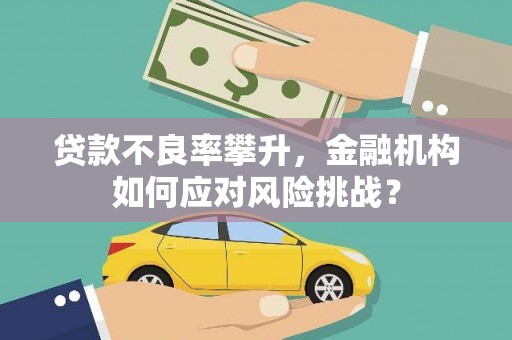 源城贷款不良率攀升，金融机构如何应对风险挑战？