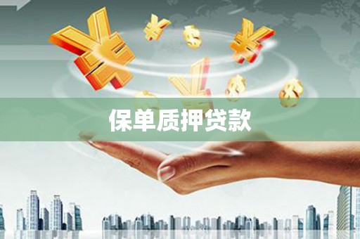 源城保单质押贷款